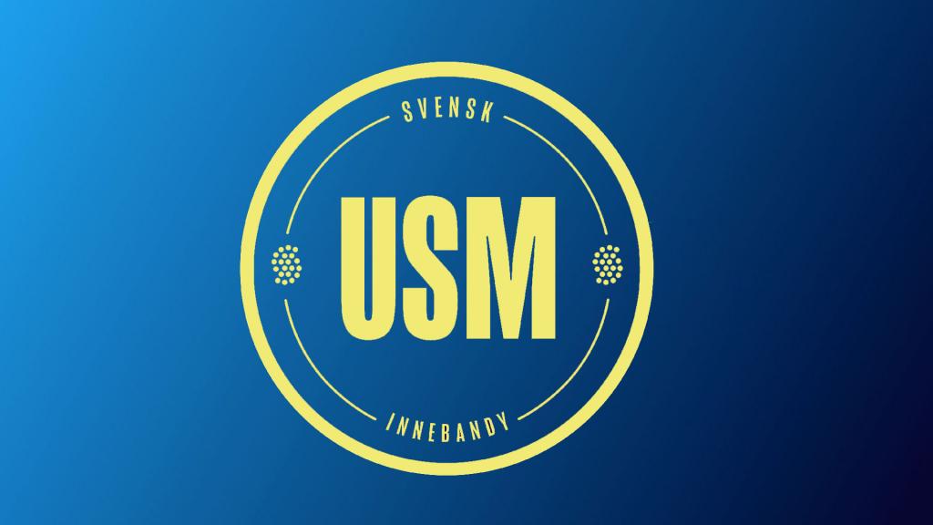 FBC Partille P16 SM - Warberg IBF HJ