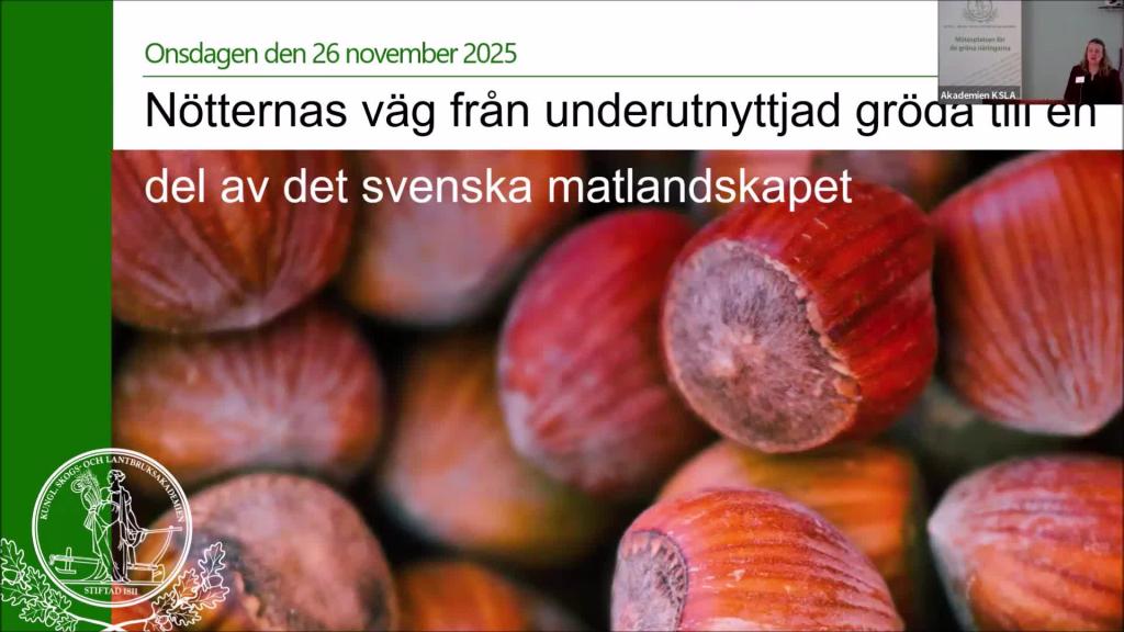 Nötternas väg från underutnyttjad gröda 26 nov 2025