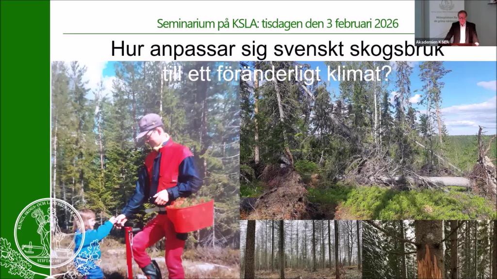Hur anpassar sig svenskt skogsbruk till ett föränderligt klimat? 3 feb 2026