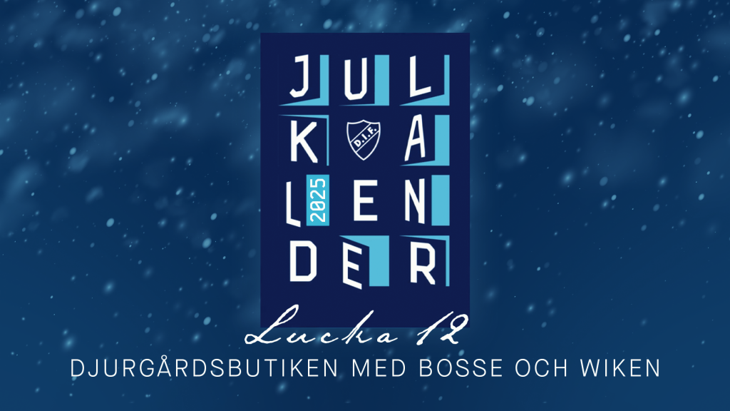 Kotschacks Julkalender 2025 Lucka 12 - Djurgårdsbutiken