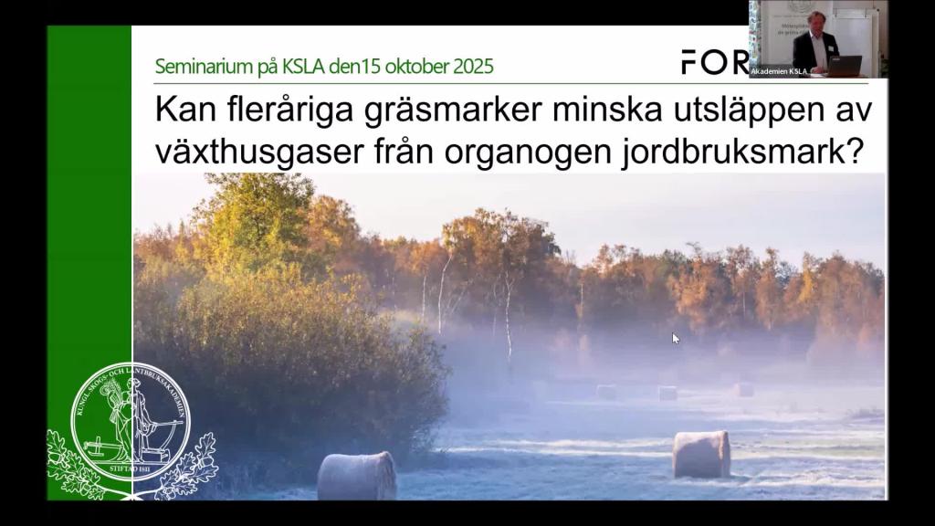 Minskar fleråriga gräsmarker utsläppen av växthusgaser 15 okt 2025