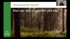 Man ser inte skogen för alla träden 7 okt 2025