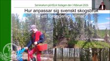 Hur anpassar sig svenskt skogsbruk till ett föränderligt klimat? 3 feb 2026