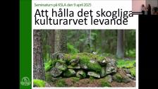 Att hålla det skogliga kulturarvet levande 9 april 2025