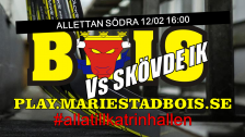 Mariestad BoIS - Skövde IK / Söndag 12/02 16:00