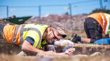 Sandby borg – hur arbetar arkeologerna med platsens historia?