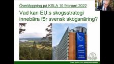 EUs skogsstrategi Sammankomst 10 februari