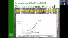 Granbarkborren: Hur undviker vi ett nytt 2018-scenario? 29 april 2024