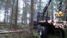 Malwa developed their own forestry machine