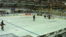Brunflo IK - SK Lejon Highlights